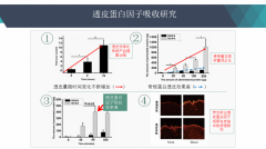 中科大专利技术应用于诗妳尔黄金美白祛斑组合